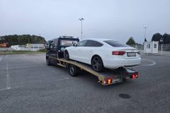 viber_image_2025-11-26_14-56-59-096