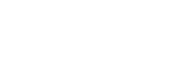 D&N AUTO LOGO