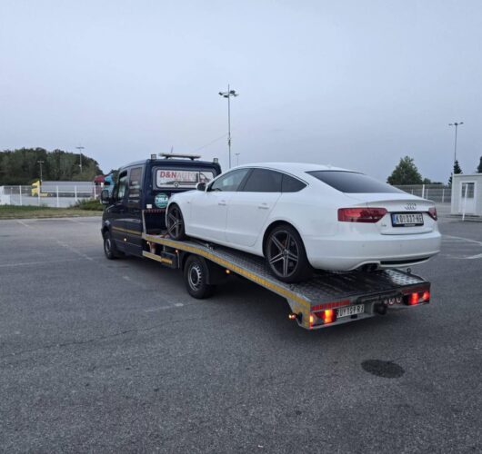 viber_image_2025-11-26_14-56-59-096